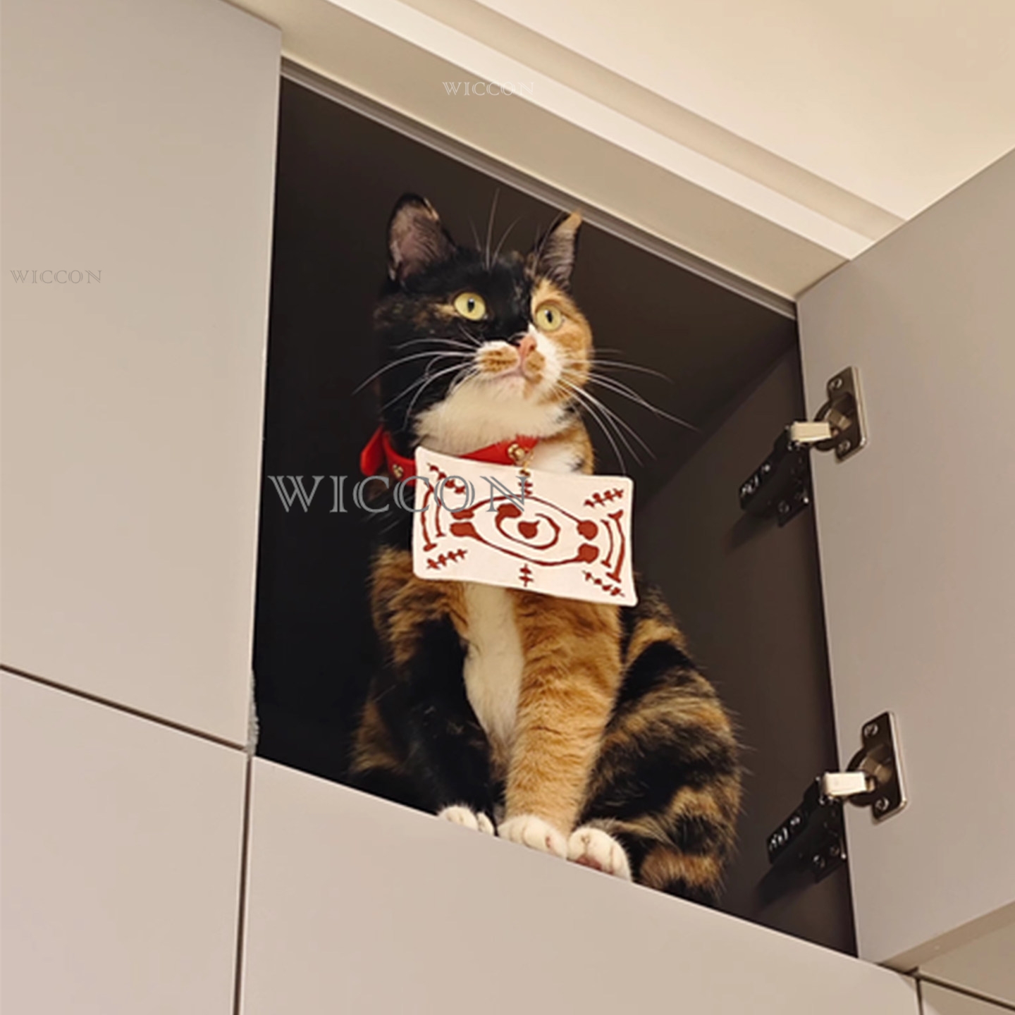 Chachamaru Cat Tamayos Huisdie - Cosplay Anime Jjk recensie en prijs